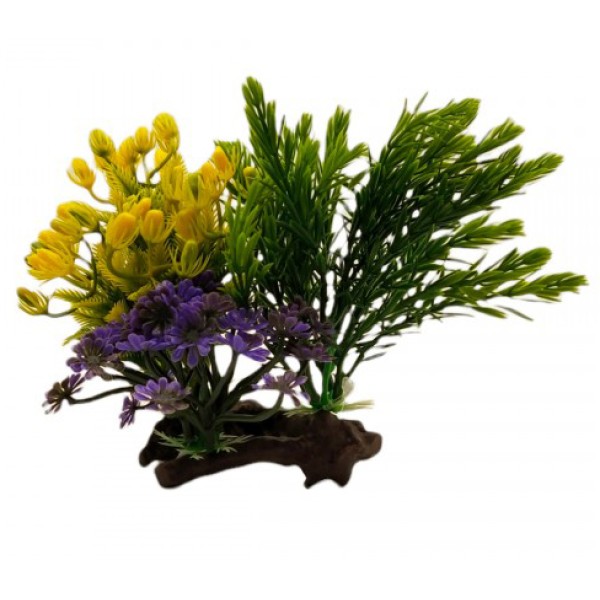 ΔΙΑΚΟΣΜΗΤΙΚΟ ΦΥΤΟ ΕΝΥΔΡΕΙΟΥ 16Χ10CM